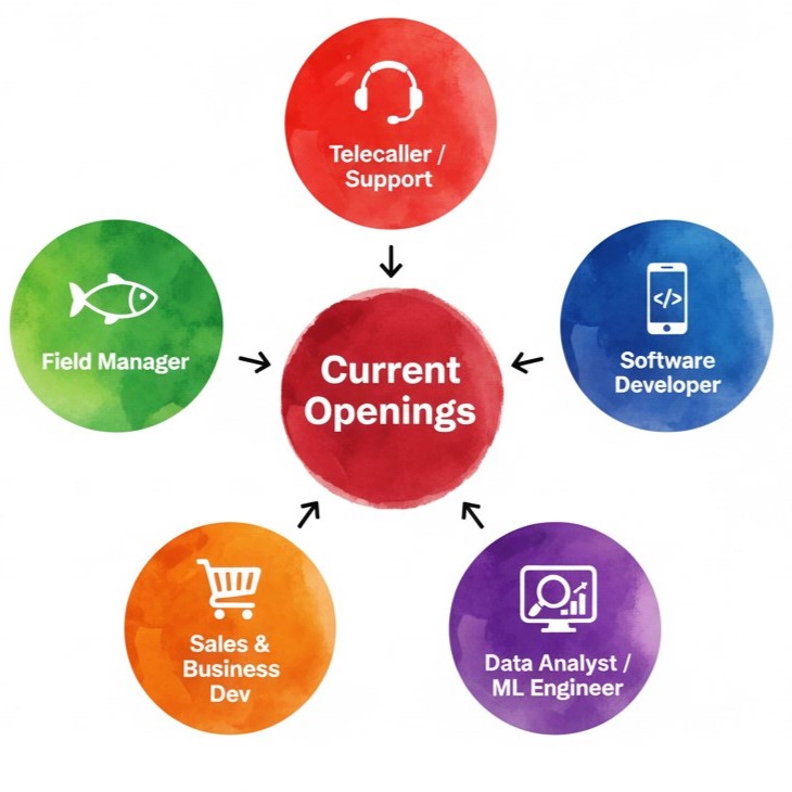 Current Job Roles